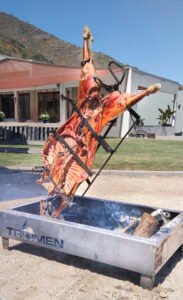 Rodolfo Paez IMG 20221126 111704 Copia 183x300